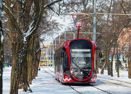 Як працюють трамваї й тролейбуси? Моніторинг, лютий 2026